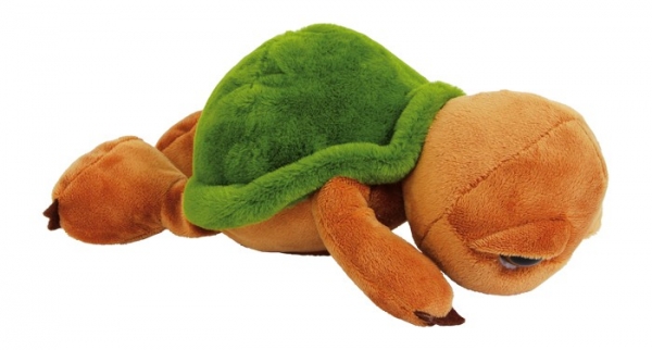 Schildkröte „Hermann“
